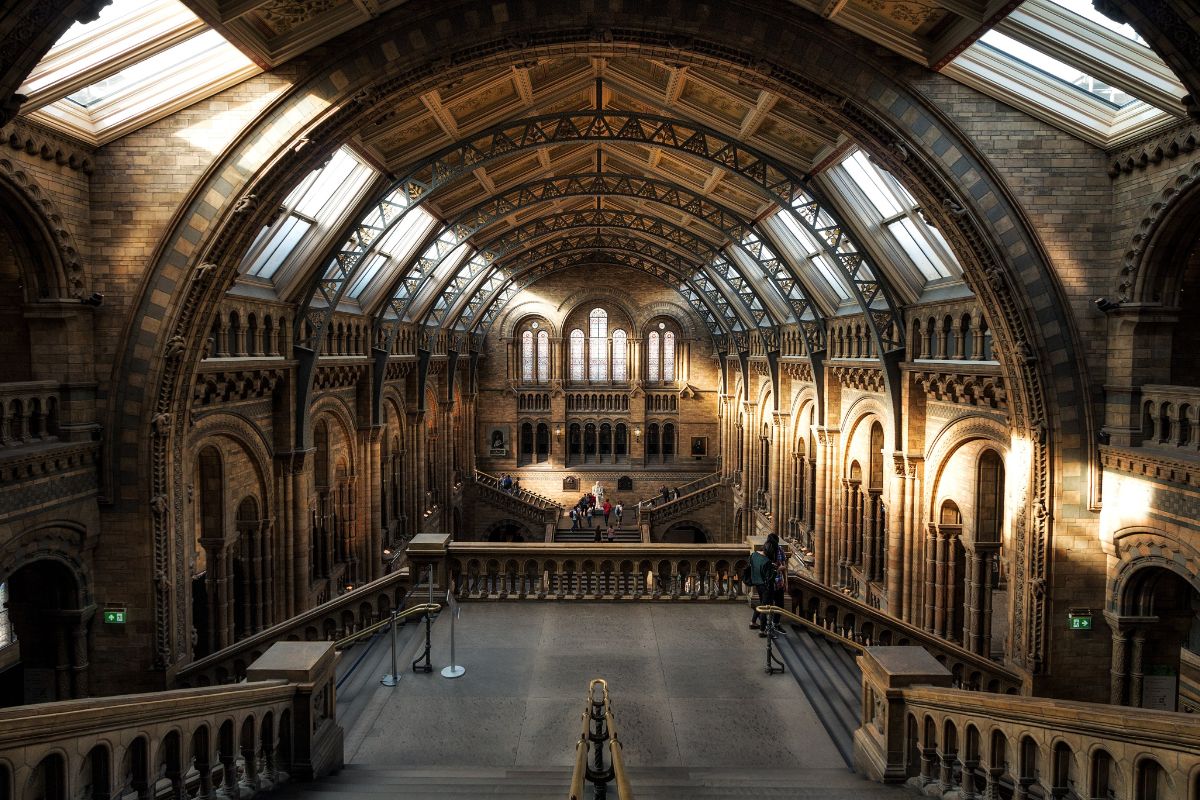 Historical Adventures like Never Before