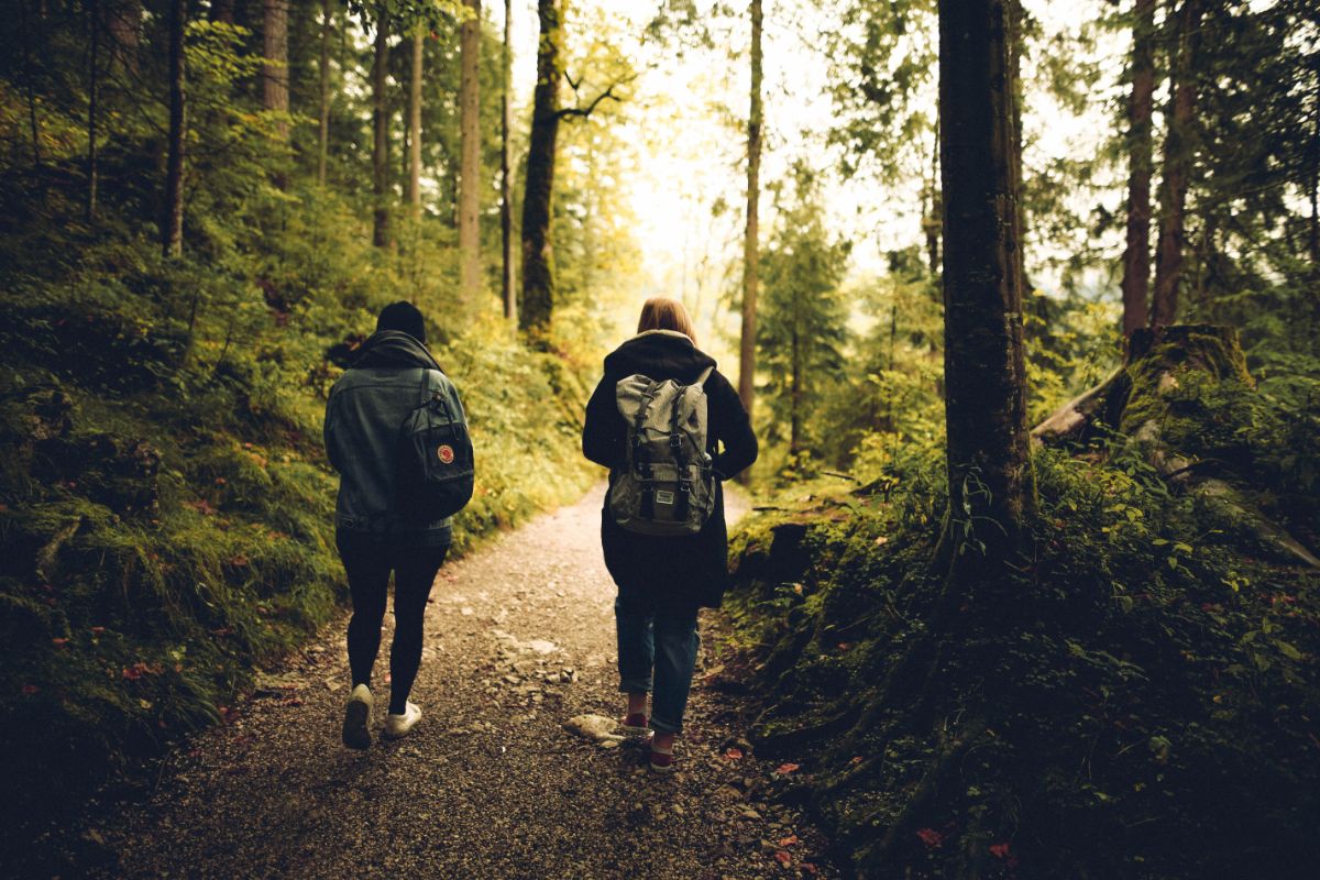 Explore Untouched Wilds, Pack Your Bags